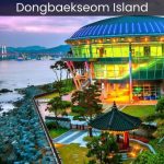 Dongbaekseom Island Exploring the Natural Beauty of Busan's Hidden Gem - spectacularspots