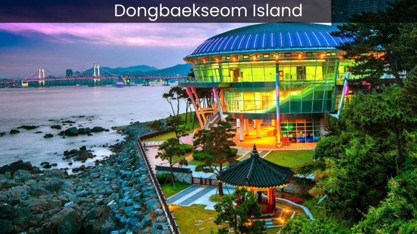 Dongbaekseom Island Exploring the Natural Beauty of Busan's Hidden Gem - spectacularspots