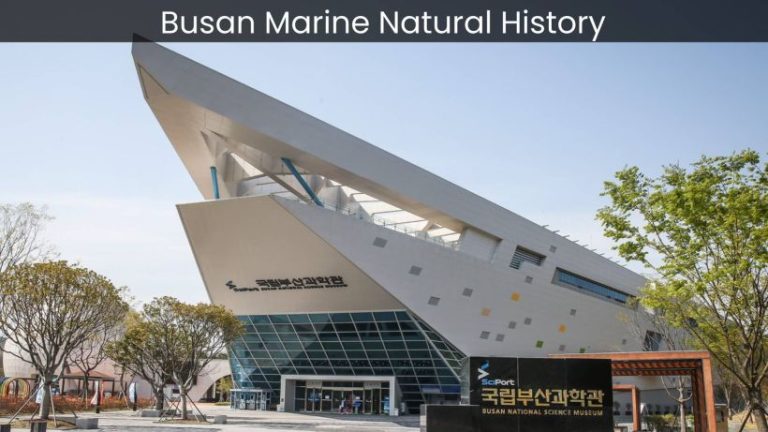 Exploring Busan Marine Natural History Museum: Unveiling the Treasures of the Sea