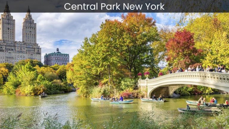 Exploring Central Park: A Scenic Escape in the Heart of New York City