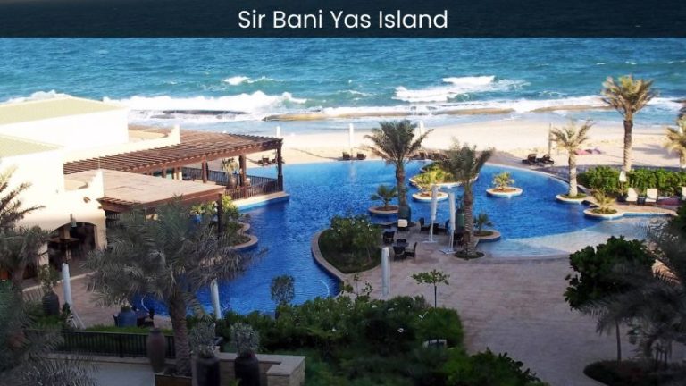 Indulge in Luxury: Experiencing the Resorts and Hospitality of Sir Bani Yas Island