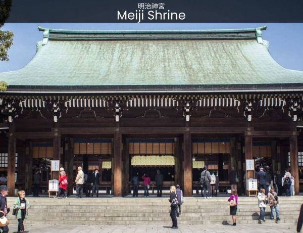 Meiji Shrine a Guide to Japan's Hidden Haven - spectacularspots