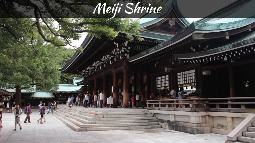 Meiji Shrine a Guide to Japan's Hidden Haven - spectacularspots.com