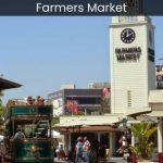 The Farmers Market In Los Angeles A Culinary Journey Through Fresh and Local Delights - spectacularspots.com