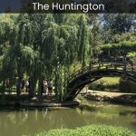 The Huntington Library, Art Collections, and Botanical Gardens Where History, Art, and Nature Converge in Los Angeles - spectacularspots.com