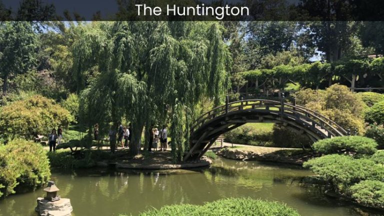 The Huntington Library, Art Collections, and Botanical Gardens: Where History, Art, and Nature Converge in Los Angeles