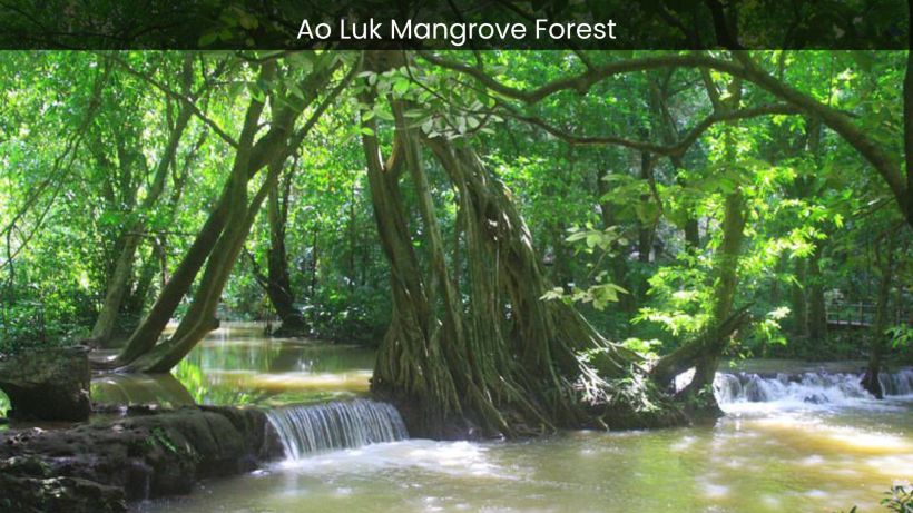 Ao Luk Mangrove Forest A Journey into the Pristine Wilderness of Thailand - spectacularspots
