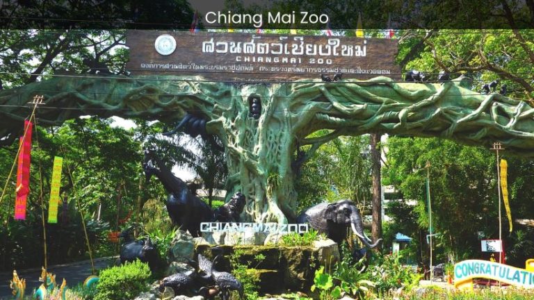 Chiang Mai Zoo: A Thrilling Encounter with Wildlife in Northern Thailand