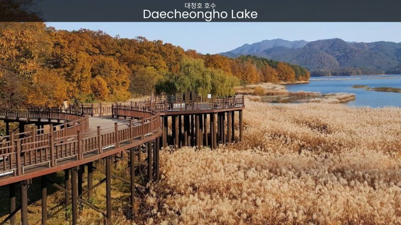 Daecheongho Lake Where Scenic Landscapes and Outdoor Adventure Await - spectacularspots.com