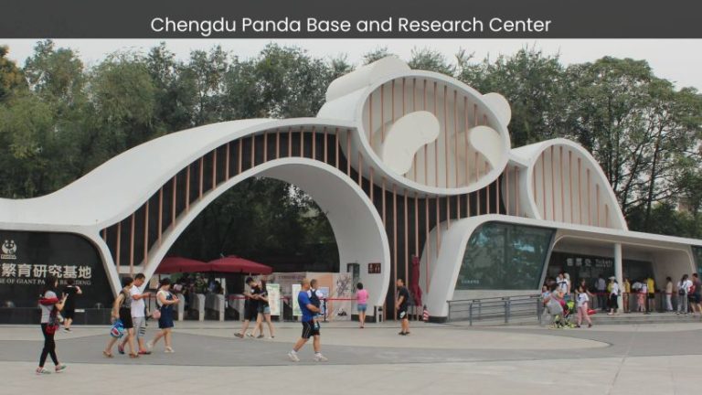 Discover the Enchanting World of Chengdu Panda Base and Research Center