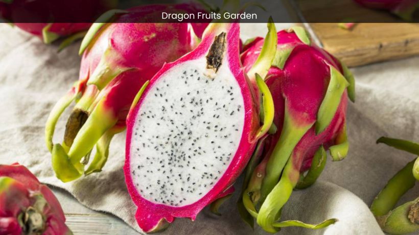 Dragon Fruits Garden in Batam A Journey into Tropical Splendor - spectacularspots.com image