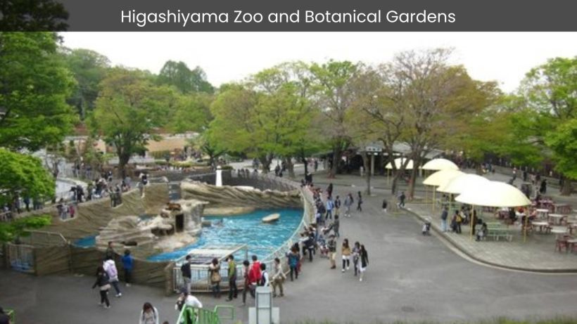 Higashiyama Zoo and Botanical Gardens A Haven of Biodiversity in Nagoya, Japan - spectacularspots