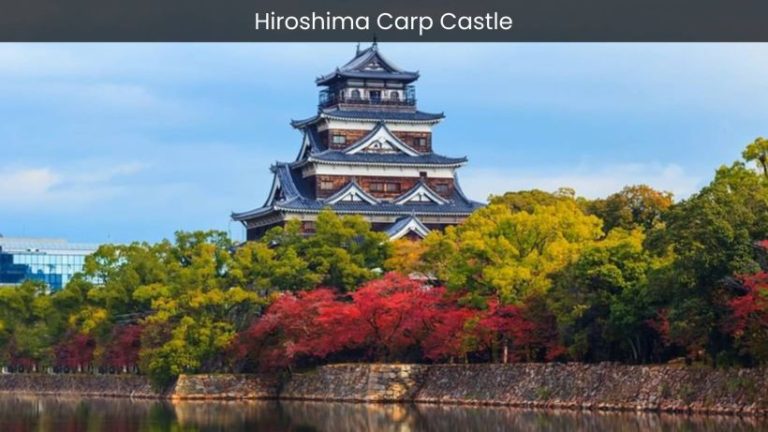 Hiroshima Carp Castle Road: A Must-Visit Destination for History Buffs and Baseball Enthusiasts