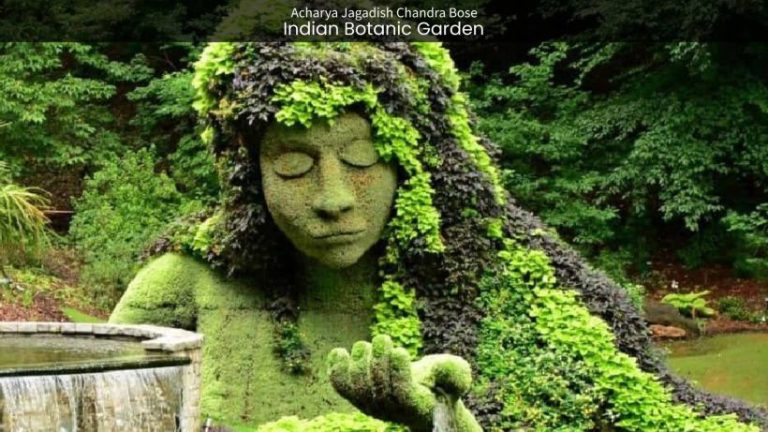 Indian Botanic Garden in Kolkata: Exploring Nature’s Green Sanctuary