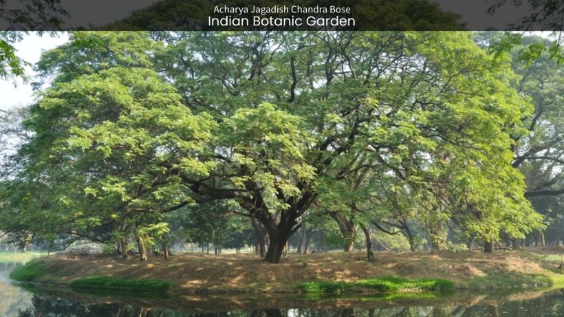 Indian Botanic Garden in Kolkata Exploring Nature's Green Sanctuary - spectacularspots.com img