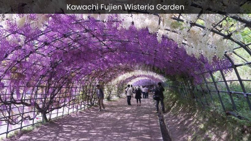 Kawachi Fujien Wisteria Garden A Colorful Symphony of Wisteria Blooms - spectacularspots.com