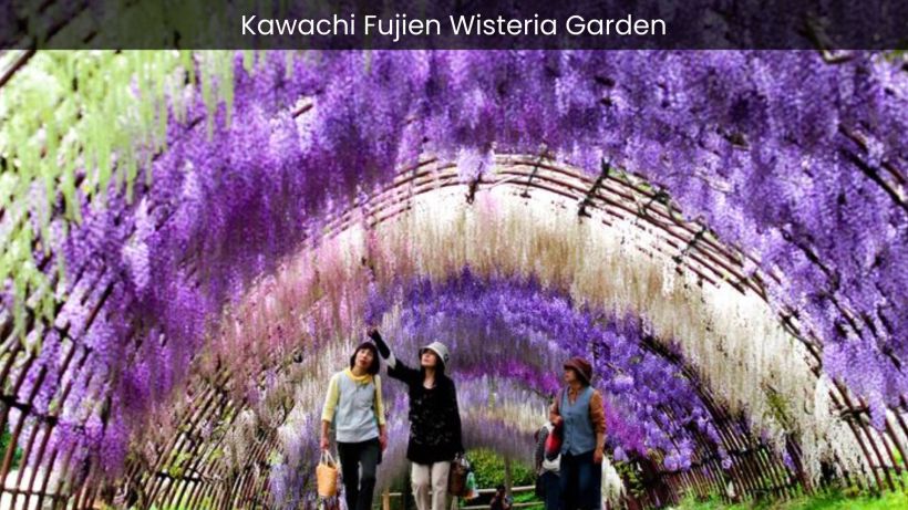 Kawachi Fujien Wisteria Garden A Colorful Symphony of Wisteria Blooms - spectacularspots