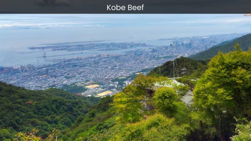 Kobe Beef A Taste Sensation That Will Leave You Craving More - spectacularspots