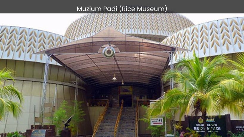 Muzium Padi (Rice Museum) Unraveling the Ancient Secrets of Rice Cultivation - spectacularspots.com img