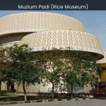 Muzium Padi (Rice Museum): Unraveling the Ancient Secrets of Rice Cultivation