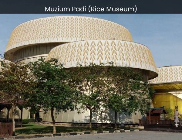 Muzium Padi (Rice Museum): Unraveling the Ancient Secrets of Rice Cultivation