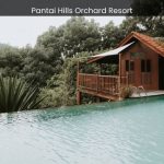Pantai Hills Orchard Resort An Oasis of Relaxation Amidst Lush Orchards and Scenic Views - spectacularspots.com