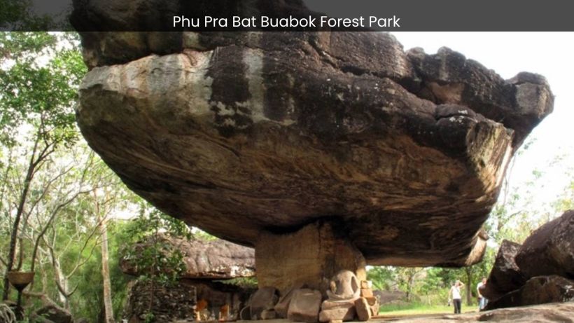 Phu Pra Bat Buabok Forest Park Where Nature's Majesty Reigns Supreme - spectacularspots.com img