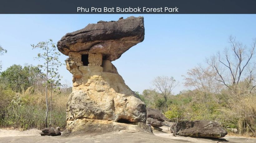 Phu Pra Bat Buabok Forest Park Where Nature's Majesty Reigns Supreme - spectacularspots.com