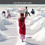 Sambhar Lake Jaipur's Shimmering Saltwater Oasis - spectacularspots.com