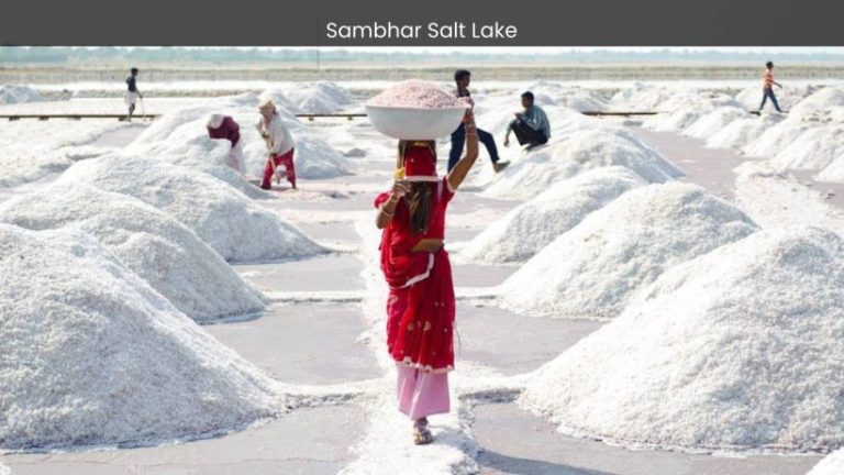 Sambhar Lake: Jaipur’s Shimmering Saltwater Oasis