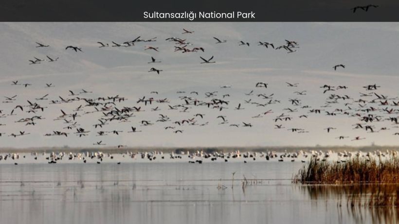 Sultansazlığı National Park Where Wildlife Thrives in Harmony - spectacularspots.com img