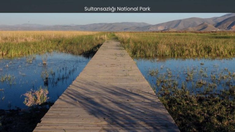 Sultansazlığı National Park: Where Wildlife Thrives in Harmony