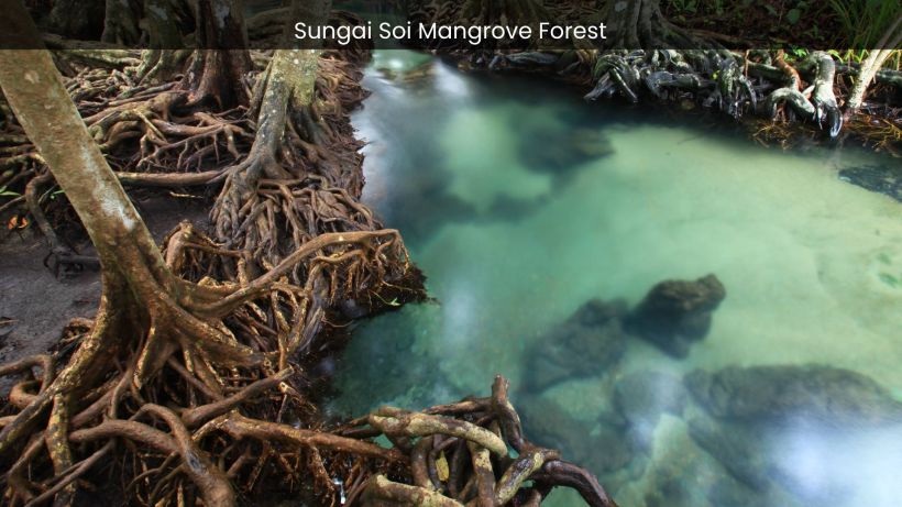 Sungai Soi Mangrove Forest Exploring the Biodiversity of Malaysia's Coastal Haven - spectacularspots.com img