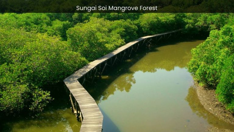 Sungai Soi Mangrove Forest: Exploring the Biodiversity of Malaysia’s Coastal Haven