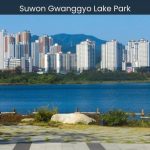 Suwon Gwanggyo Lake Park A Serene Oasis in the Heart of the City - spectacularspots.com