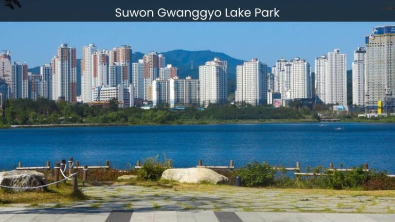 Suwon Gwanggyo Lake Park: A Serene Oasis in the Heart of the City