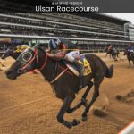 Ulsan Racecourse Where Speed, Elegance, and Entertainment Converge - spectacularspots.com