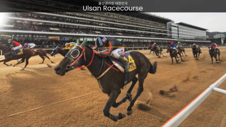 Ulsan Racecourse: Where Speed, Elegance, and Entertainment Converge