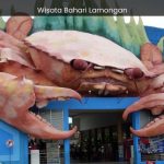 Wisata Bahari Lamongan Exploring Indonesia's Coastal Gem - spectacularspots.com