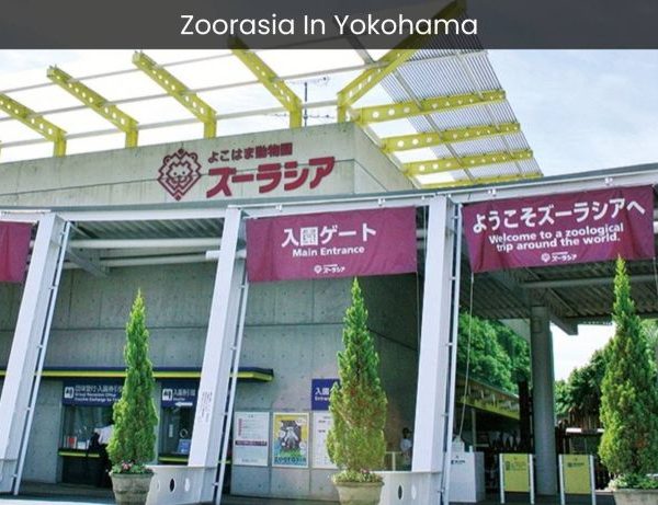 Zoorasia Yokohama Discover the Wildlife Wonderland of Japan - spectacularspots.com