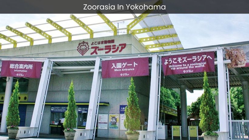 Zoorasia Yokohama Discover the Wildlife Wonderland of Japan - spectacularspots.com