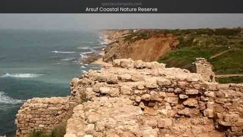 Arsuf Coastal Nature Reserve_ A Hidden Gem of Israel's Wilderness - spectacularspots.com img