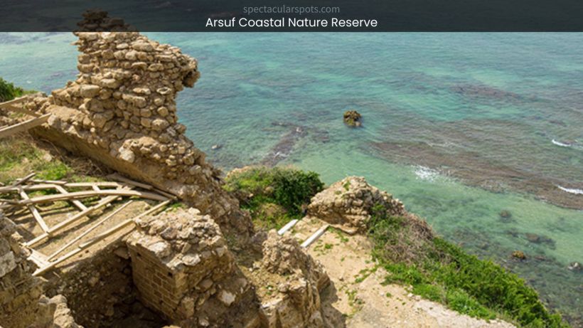 Arsuf Coastal Nature Reserve_ A Hidden Gem of Israel's Wilderness - spectacularspots.com