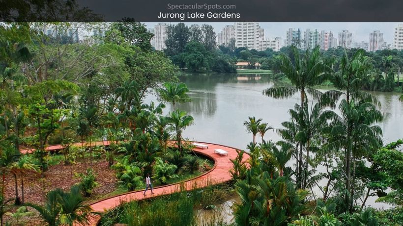 Jurong Lake Gardens Singapore's Scenic Gem amidst Choa Chu Kang's Urban Landscape - spectacularspots.com