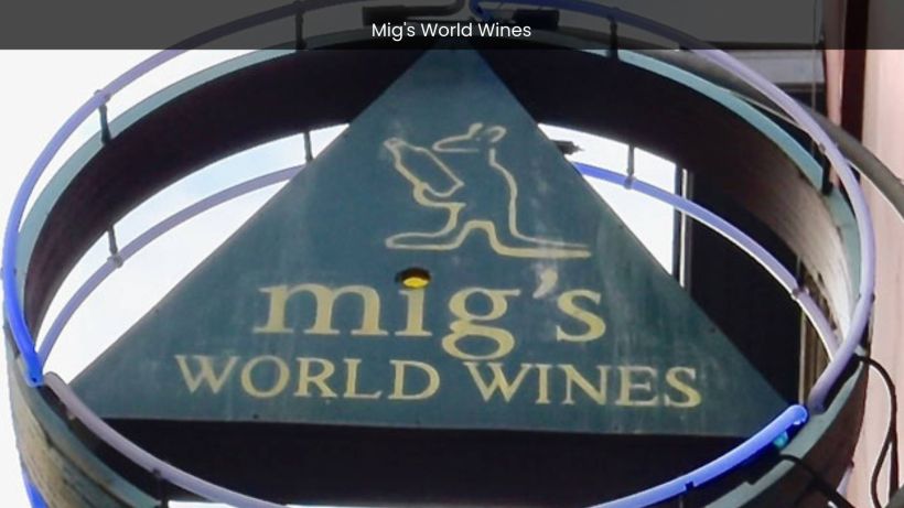 Mig's World Wines Aalst's Destination for Global Wine Delights - spectacularspots.com image