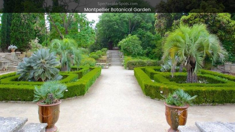 Montpellier Botanical Garden A Floral Paradise in France - spectacularspots.com image
