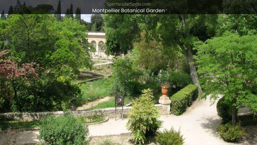 Montpellier Botanical Garden A Floral Paradise in France - spectacularspots.com img