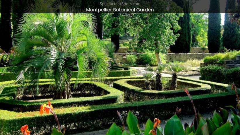 Montpellier Botanical Garden A Floral Paradise in France - spectacularspots.com