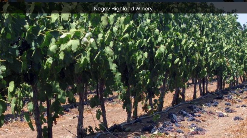 Negev Highland Winery Elevating Your Palate with Award-Winning Israeli Wines - spectacularspots.com img