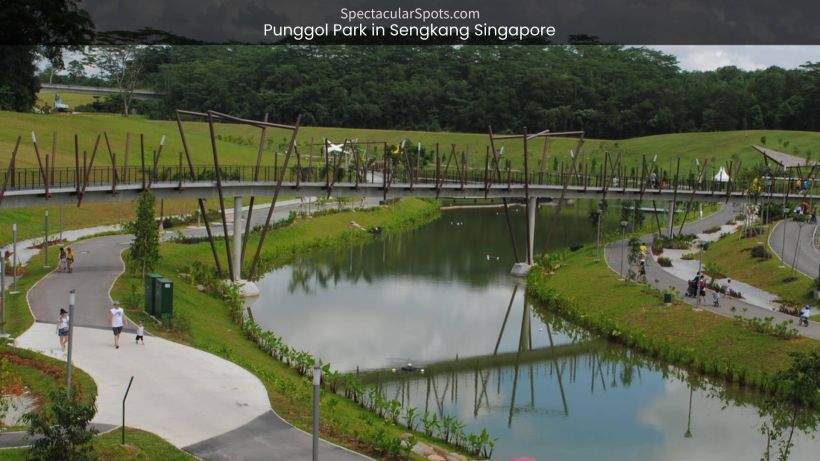 Punggol Park_ Sengkang's Perfect Picnic Spot Amidst Nature - spectacularspots.com img